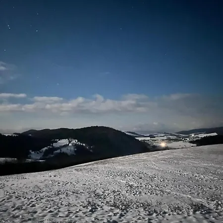 Domcek V Poloninach Nyaraló