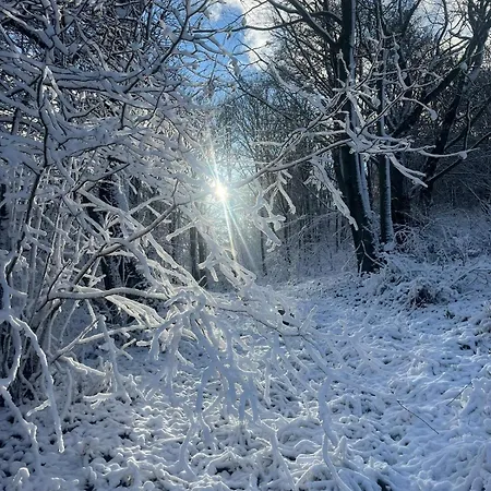 Poloniny Prázdninový dům Osadne